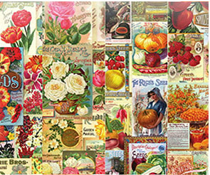 Seed Catalogue Collection
