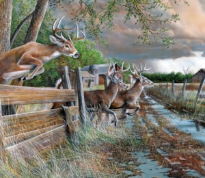 Dyansen Gallery 1990/ディルトフ/ポスター DONATION (寄付2,000円)→「第1期ボブ・ディラン1962〜1966の