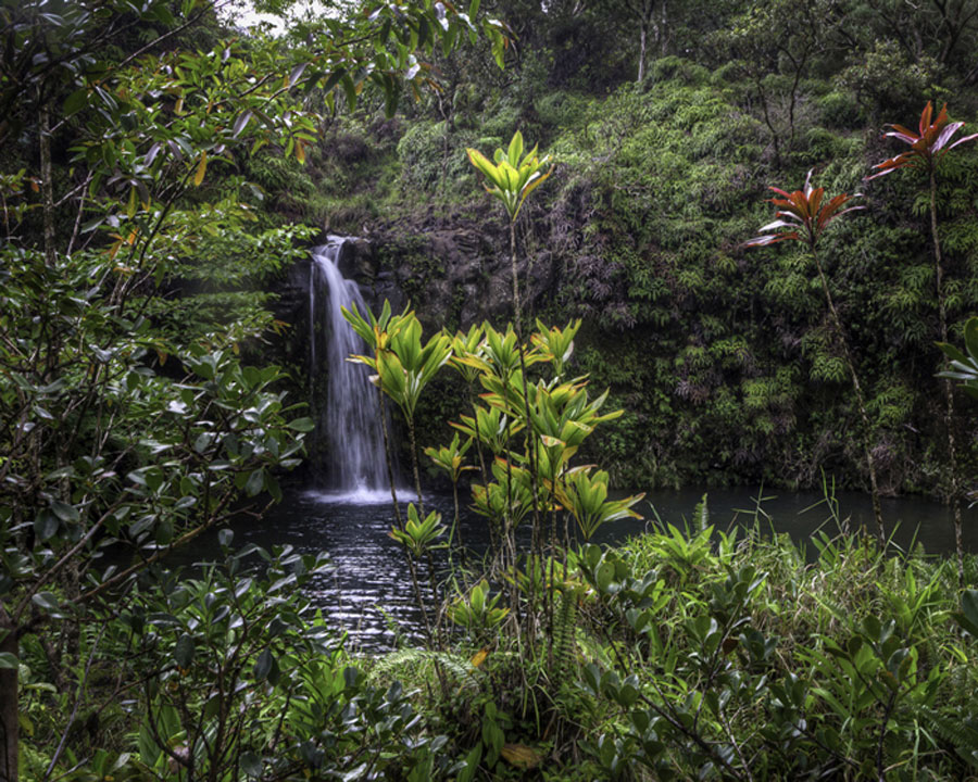 Kopilua Falls Hana High, Giclee Print on Arch Paper at Eurographics