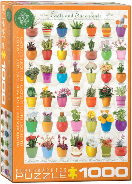 Cactus & Succulents Puzzle at Eurographics