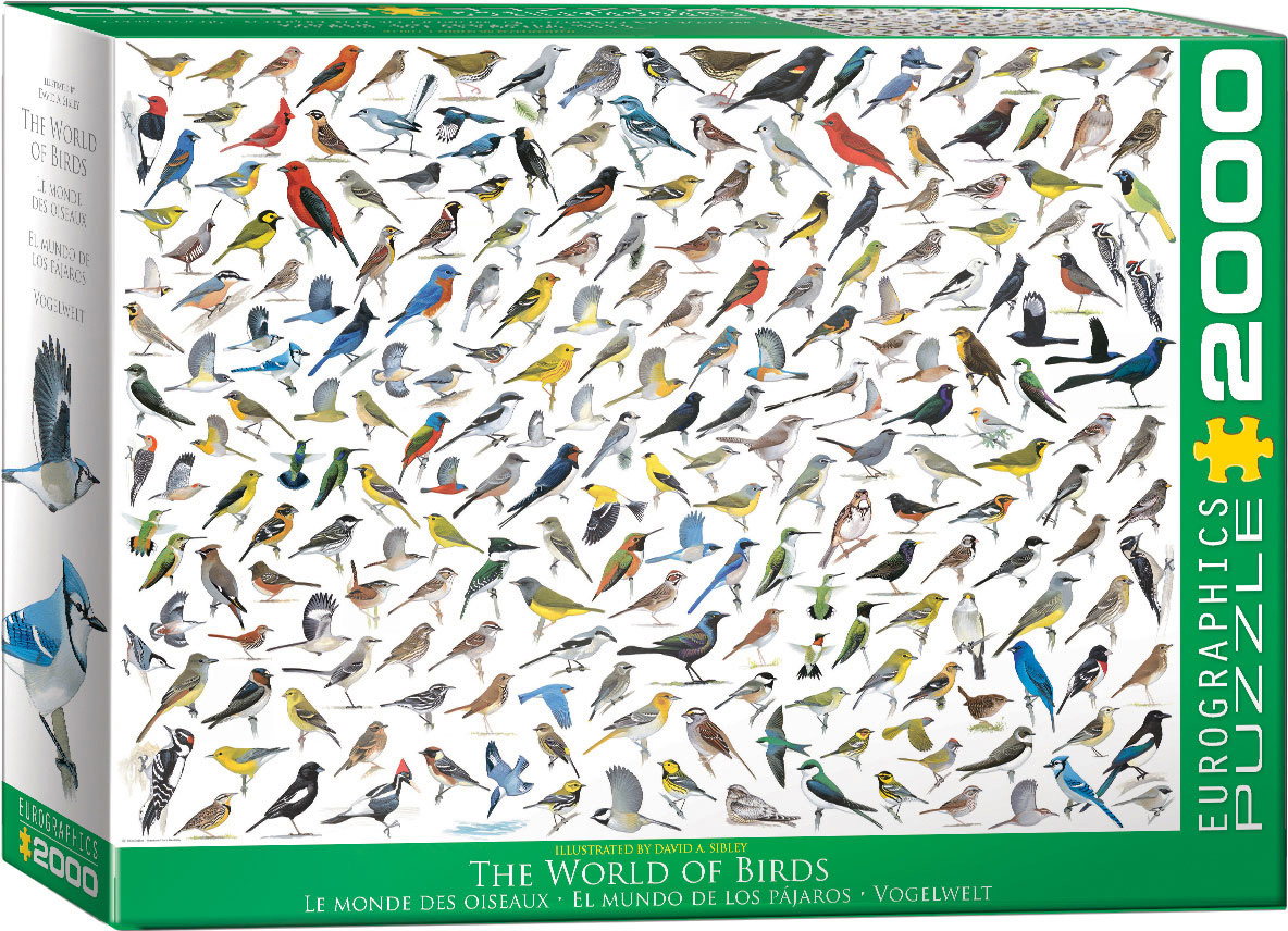 The World of Birds at Eurographics