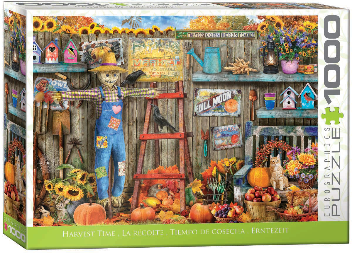 An autumn landscape features plentiful pumpkins, farmers markets, and fall foliage in seasonal color.