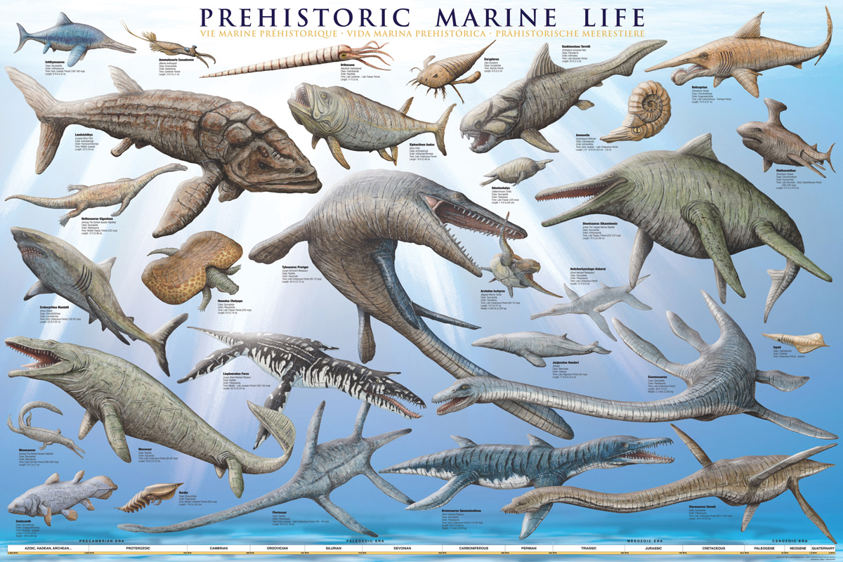 Prehistoric Marine Life, Poster at Eurographics