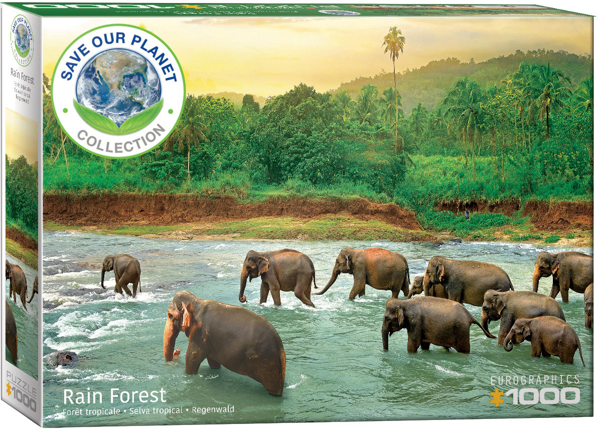 Rainforest 600×300×450 Rainforest 600×300×450 Rainforest 600×300×450 Rainforest Jigsaw