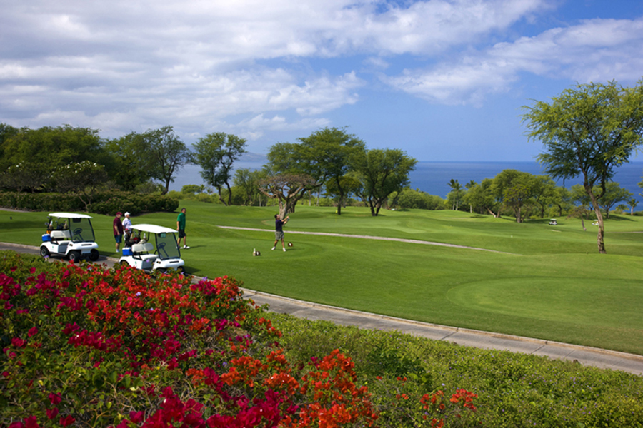 希少！90sヴィンテージ Imperial Wailea Golf Course 希少！90sヴィンテージ Imperial Wailea Golf Course