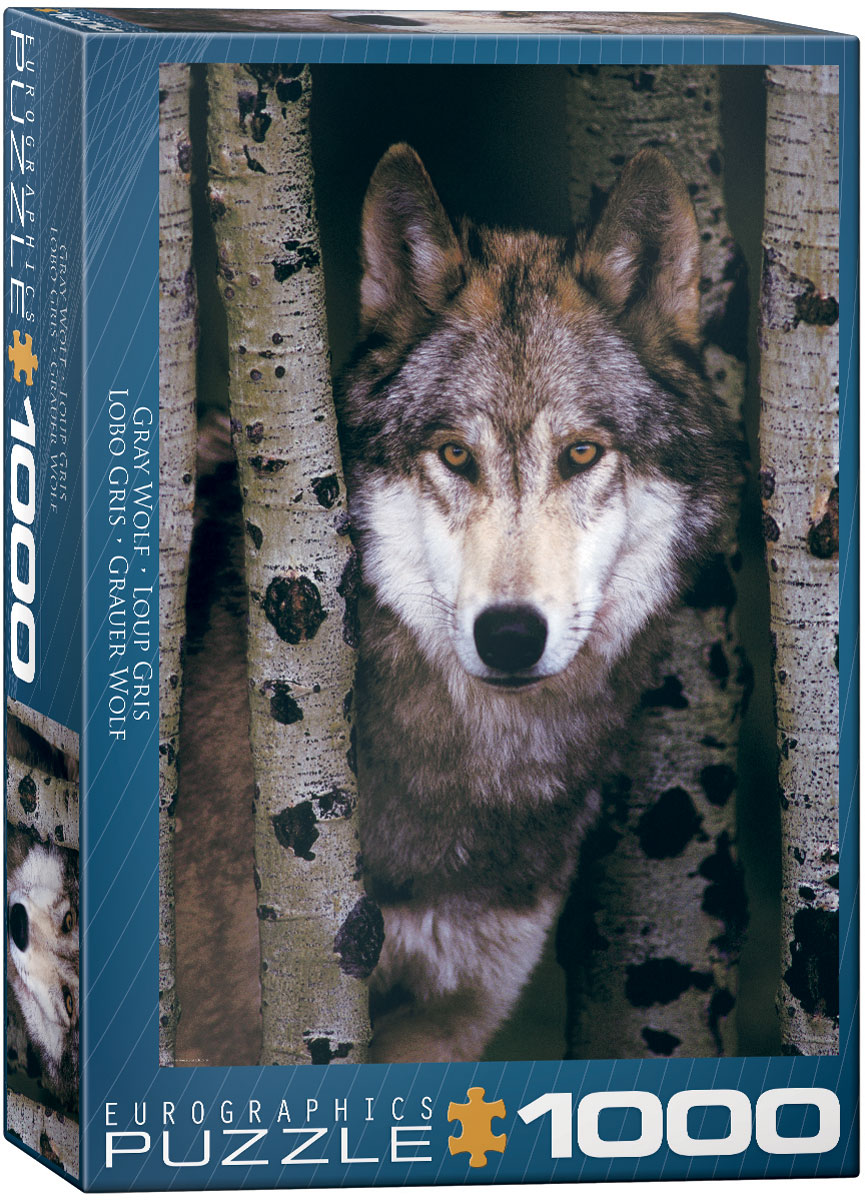 The image shows a gray wolf with a hauntingly powerful presence.