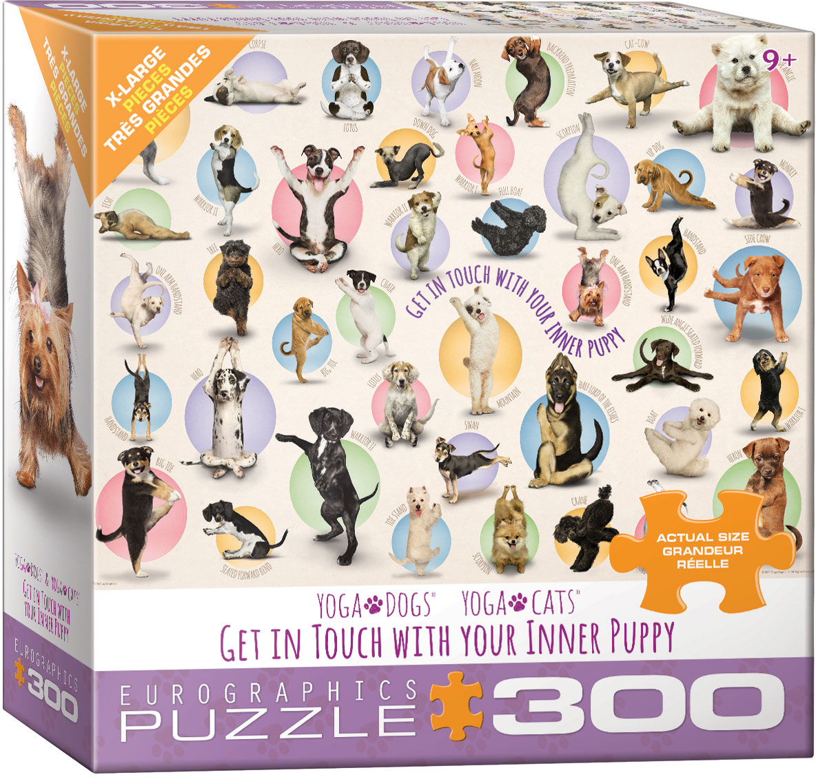 Yoga Puppies, Puzzle at Eurographics