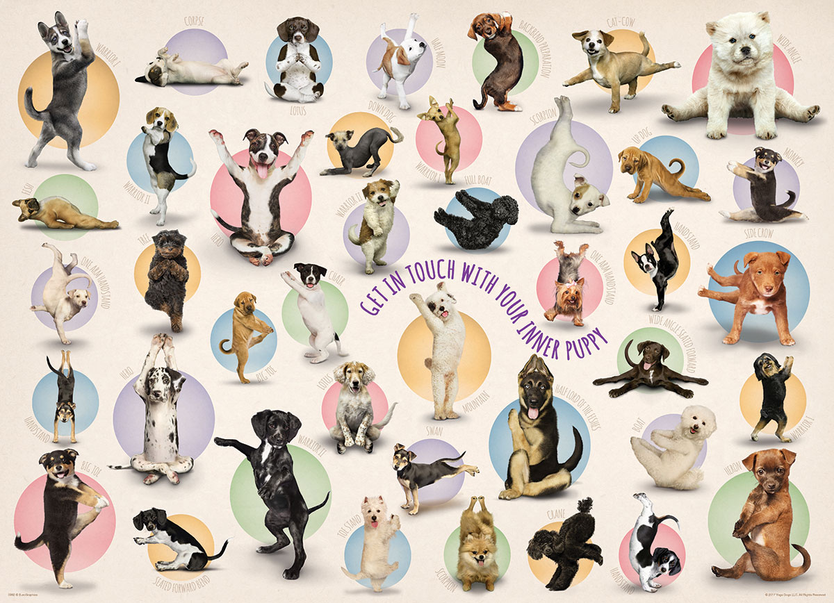 yoga dog puzzle