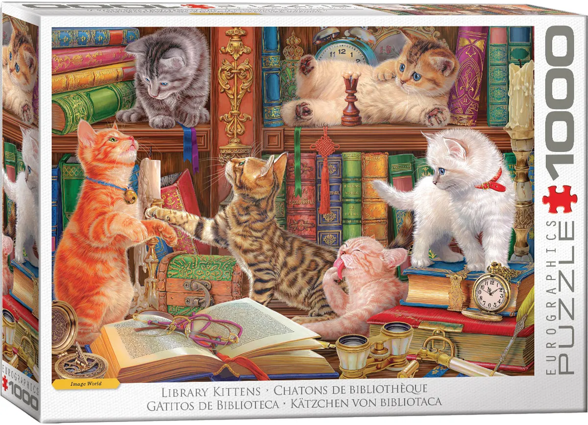 Library Kitten's