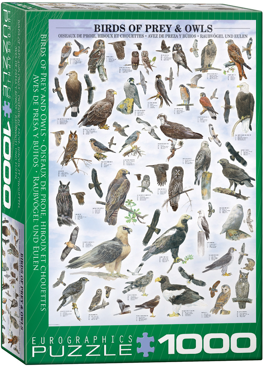 【希少】 3Dホログラム「Birds of Prey」梟・鷲・鷹 Birds of Prey and Owls, Jigsaw Puzzle at Eurographics