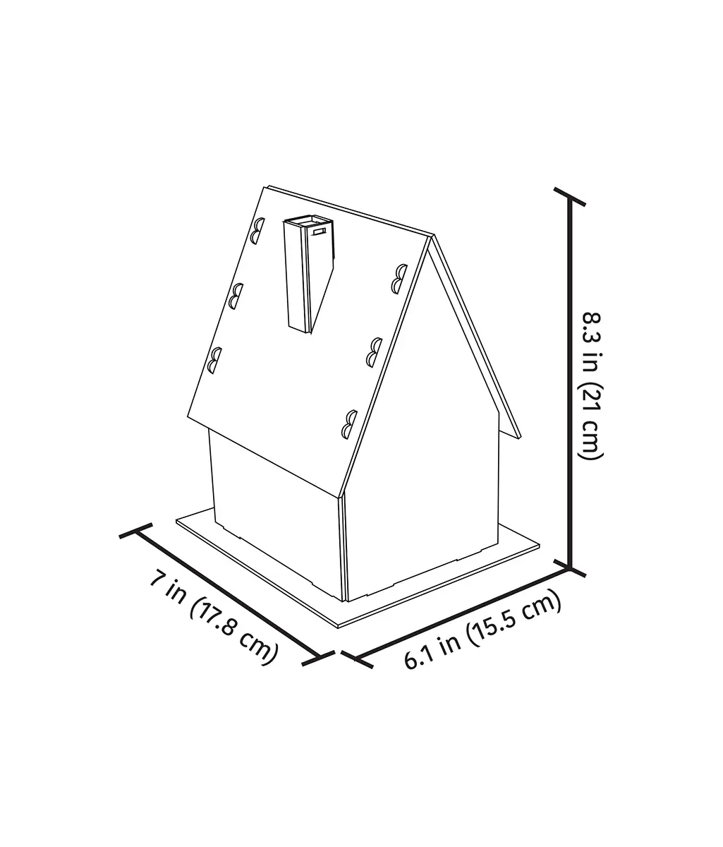 Slide 6
