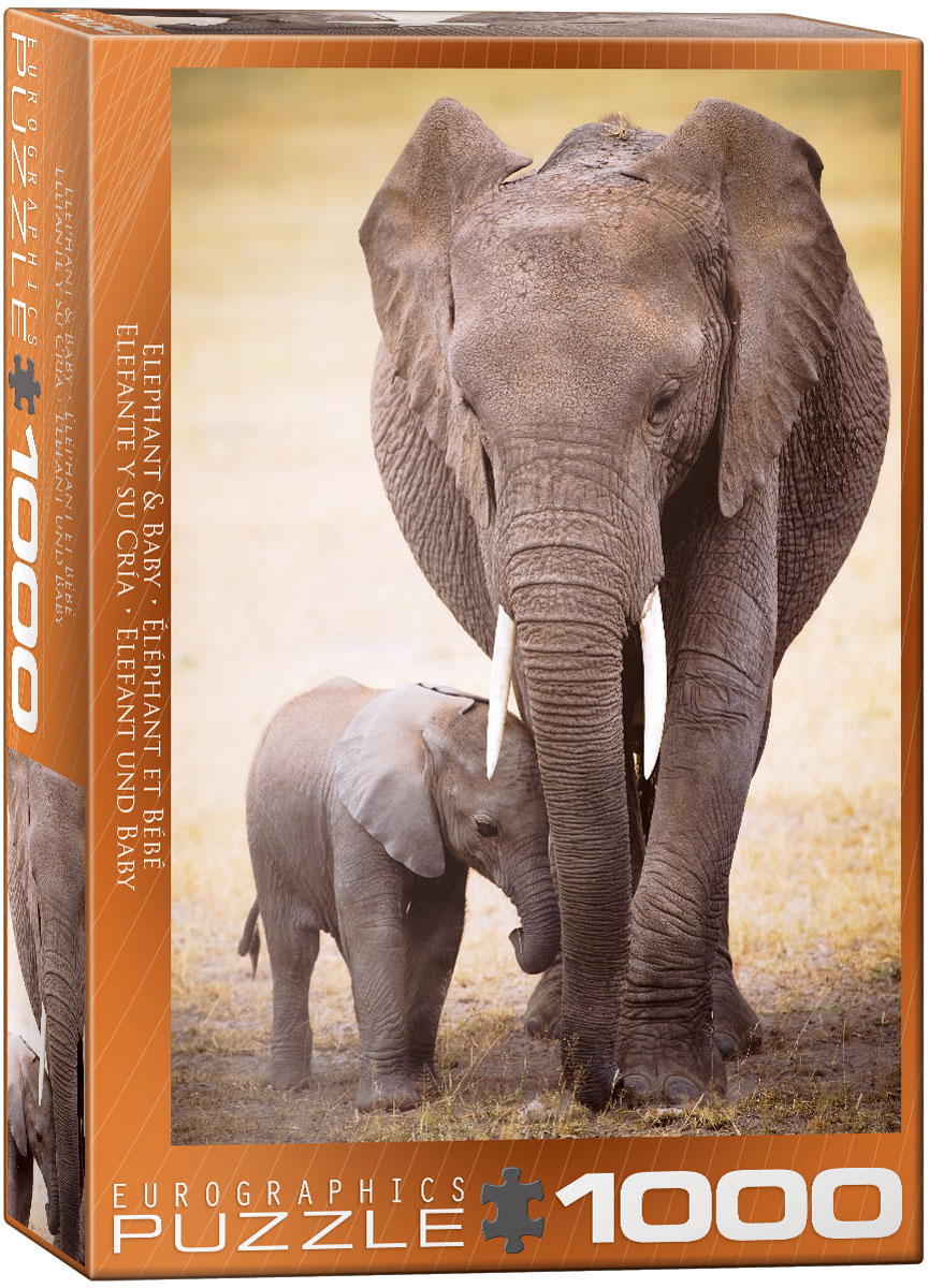 An African elephant mother with her calf.