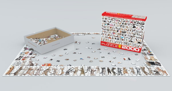 Cats (2000 pcs) at Eurographics