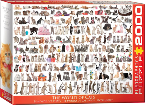 その他 Cats 8220-0580__thumb600.jpg?t=