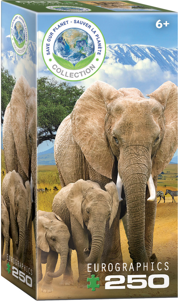 Elephant, Jigsaw Puzzle at Eurographics