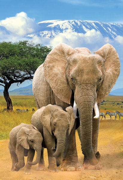 Elephant, Jigsaw Puzzle at Eurographics