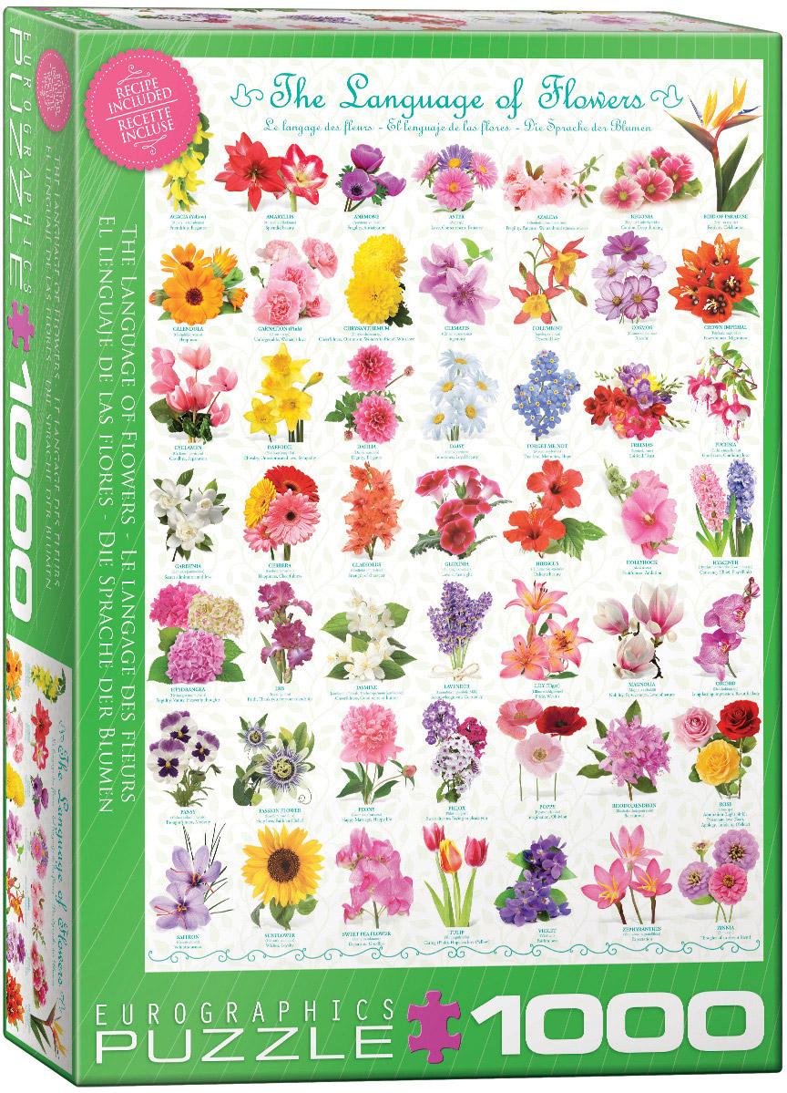 A floral composition brings together more than 45 flowers, pairing individual blooms with symbolic messages: carnations represent a woman's love, irises friendship, and yellow tulips hopeless love.
