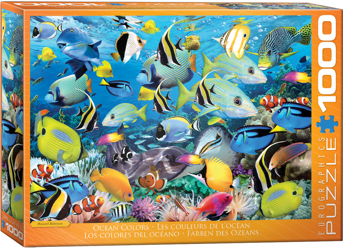 The image centers on numerous tropical fish shown in varied colors within an ocean-themed scene.