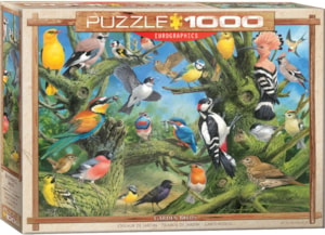 Garden Birds at Eurographics