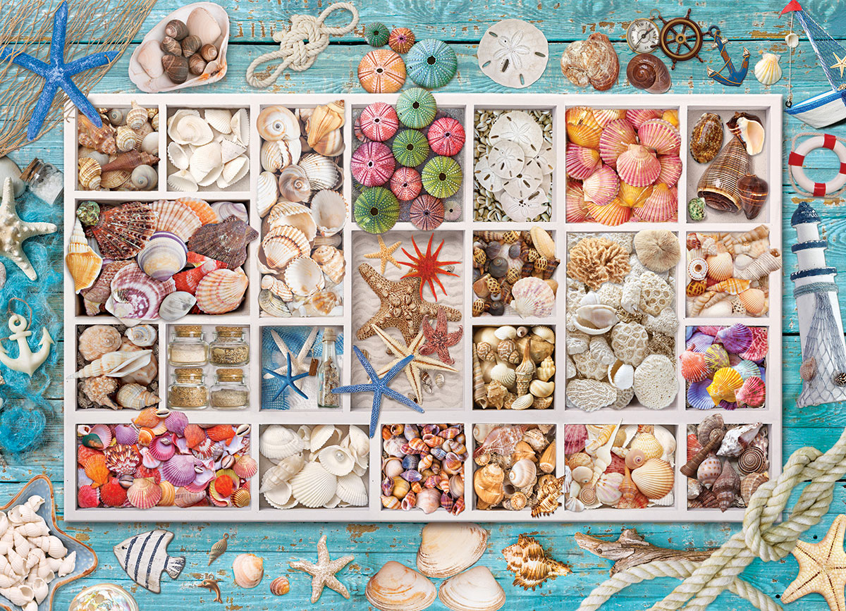コレクション Hundred Objects to represent the World Seashell Collection at Eurographics