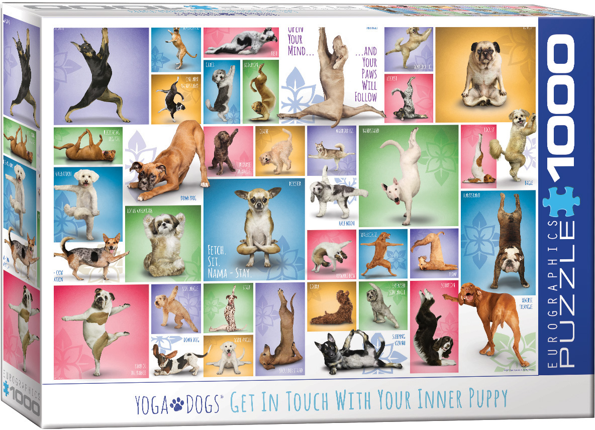 Yoga Dogs at Eurographics