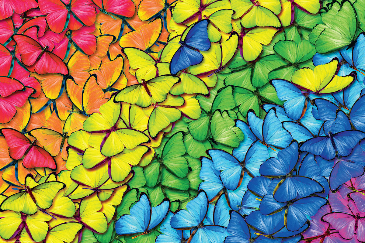 Butterfly Rainbow poster at Eurographics