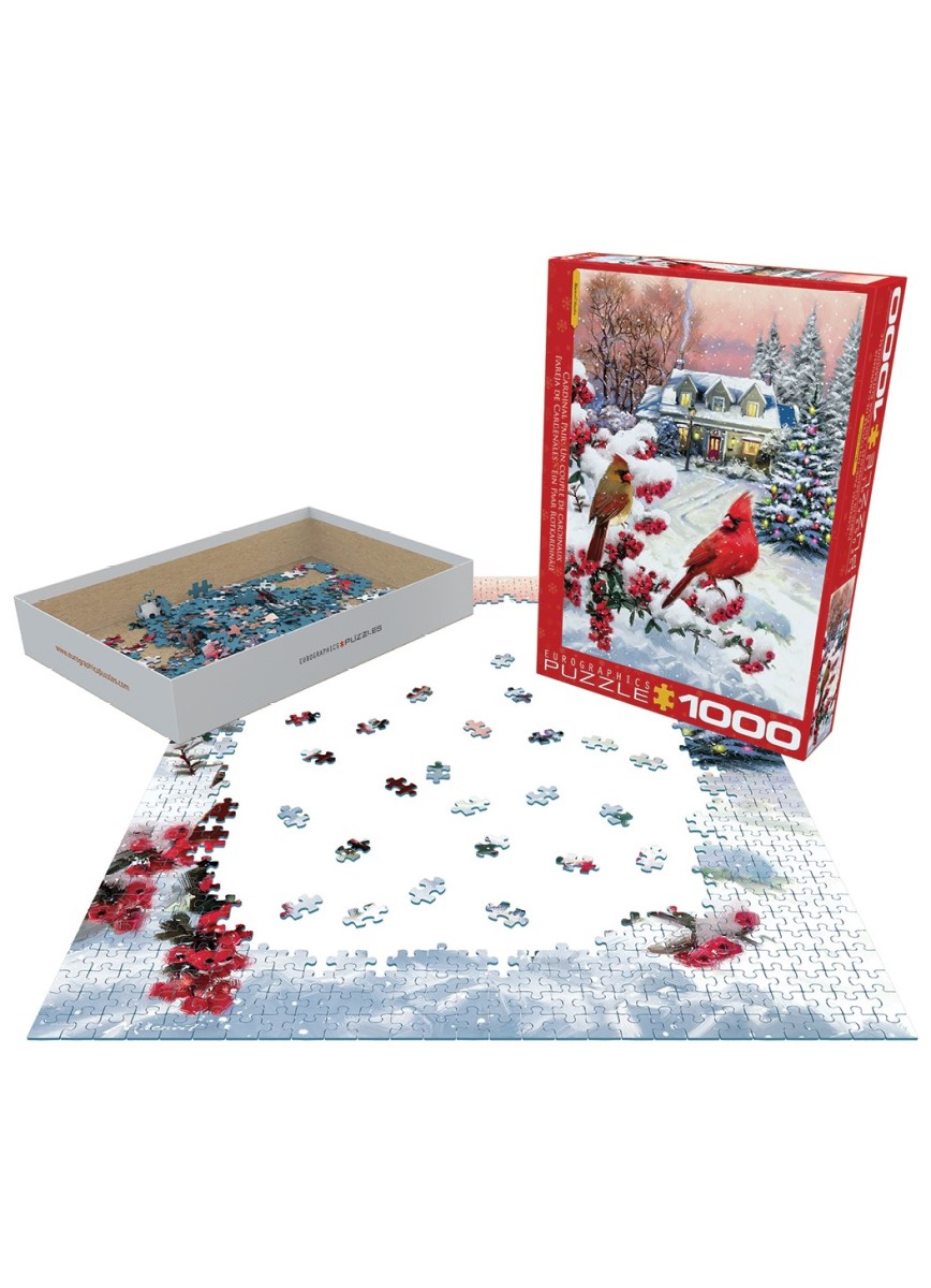 Cardinal Pair, colorful Puzzles at Eurographics