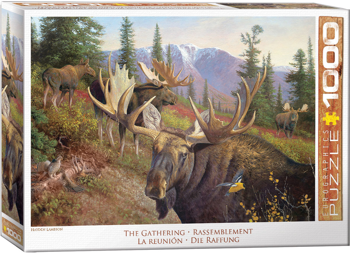 Mountain scenery surrounds a group of moose grazing in an open pasture.