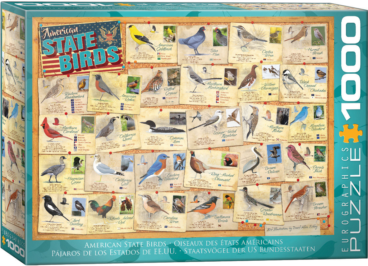 American State Birds at Eurographics