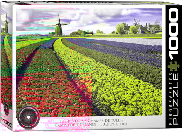 Tulip Field - Netherlands at Eurographics