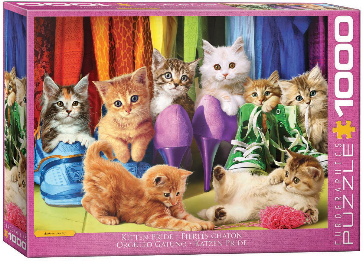 A cluster of fluffy kittens with different fur patterns and bright eyes is set among colorful footwear and rainbow-toned fabric swags. Some peek from sneakers, lounge on high heels, and wind through yarn.