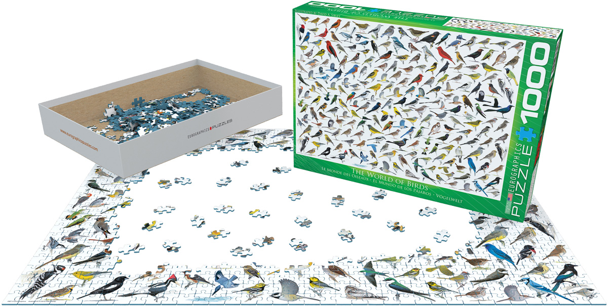 The World of Birds at Eurographics