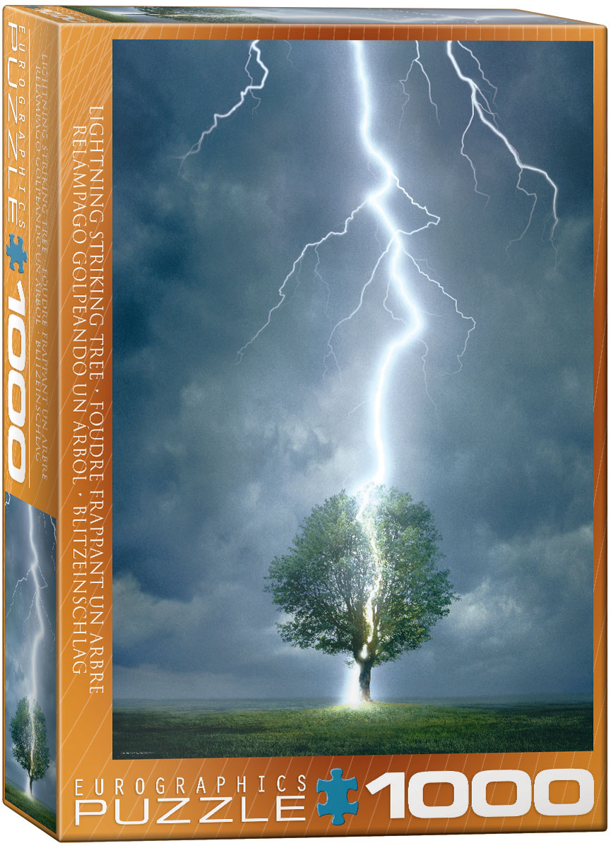 A tree struck by lightning.