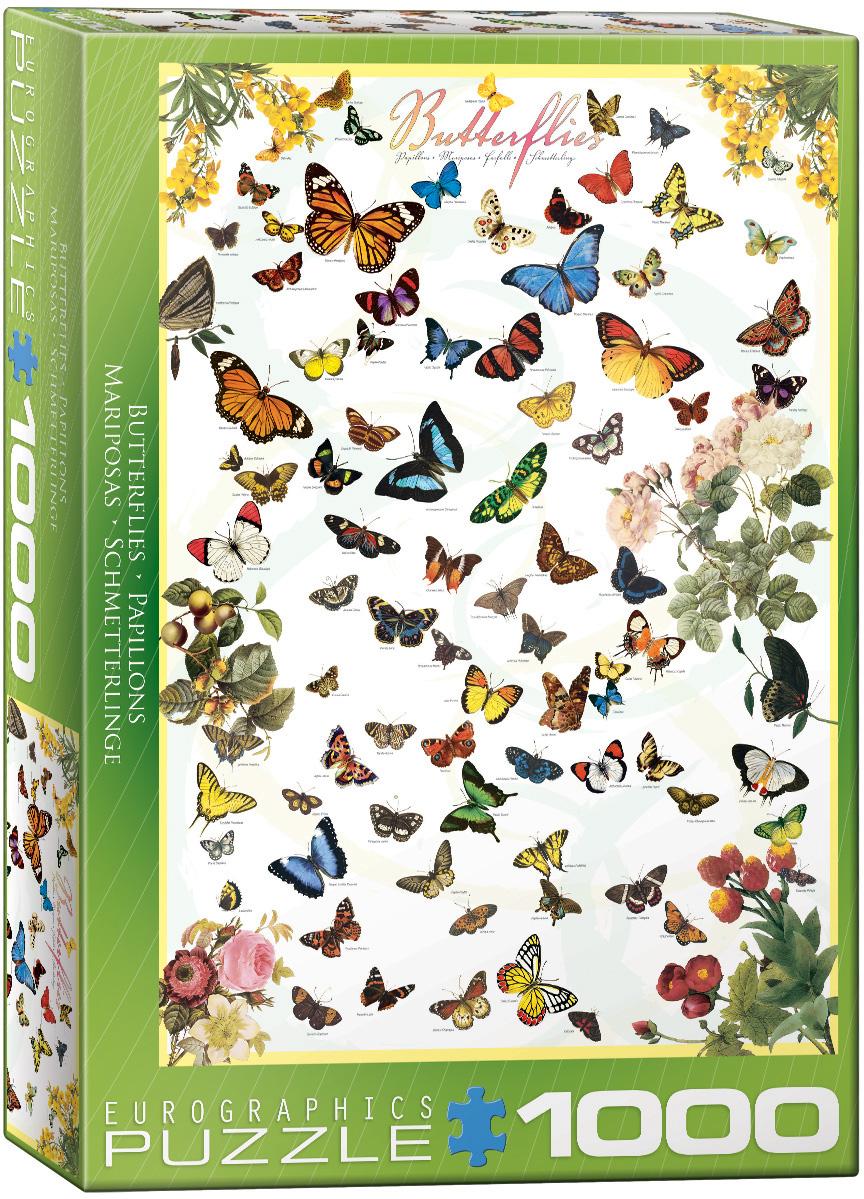 Butterfly species from across the globe appear in the image — more than fifty of them — each with its own wing shape and colouring. Markings and hues change from one species to the next, so the picture reads as a survey of the group's variety.