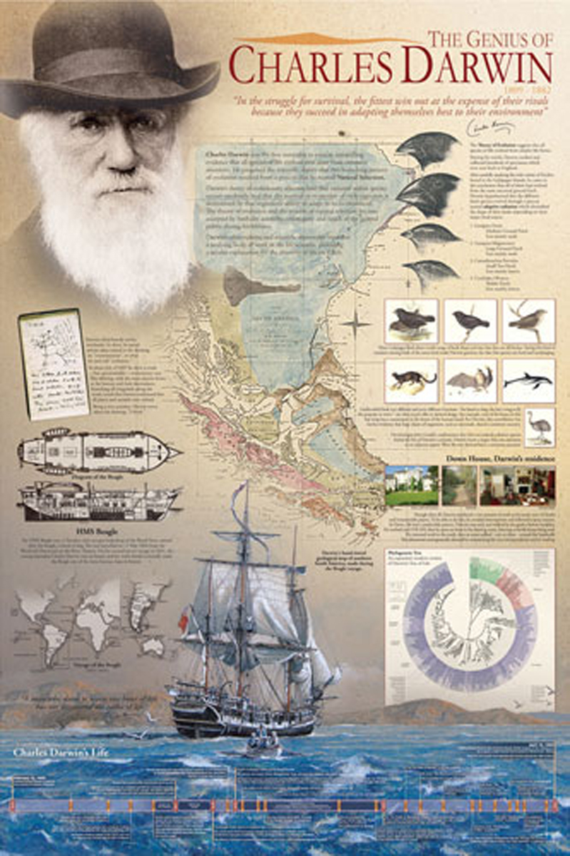 Darwin Invent The Genius of Charles Darwin, Giclee Print on Canvas at Eurographics