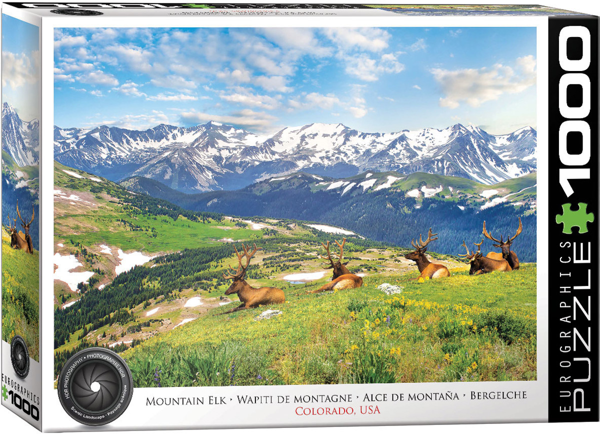 A Colorado Rocky Mountain scene featuring elk from the Silver Ridge Peaks reserve.